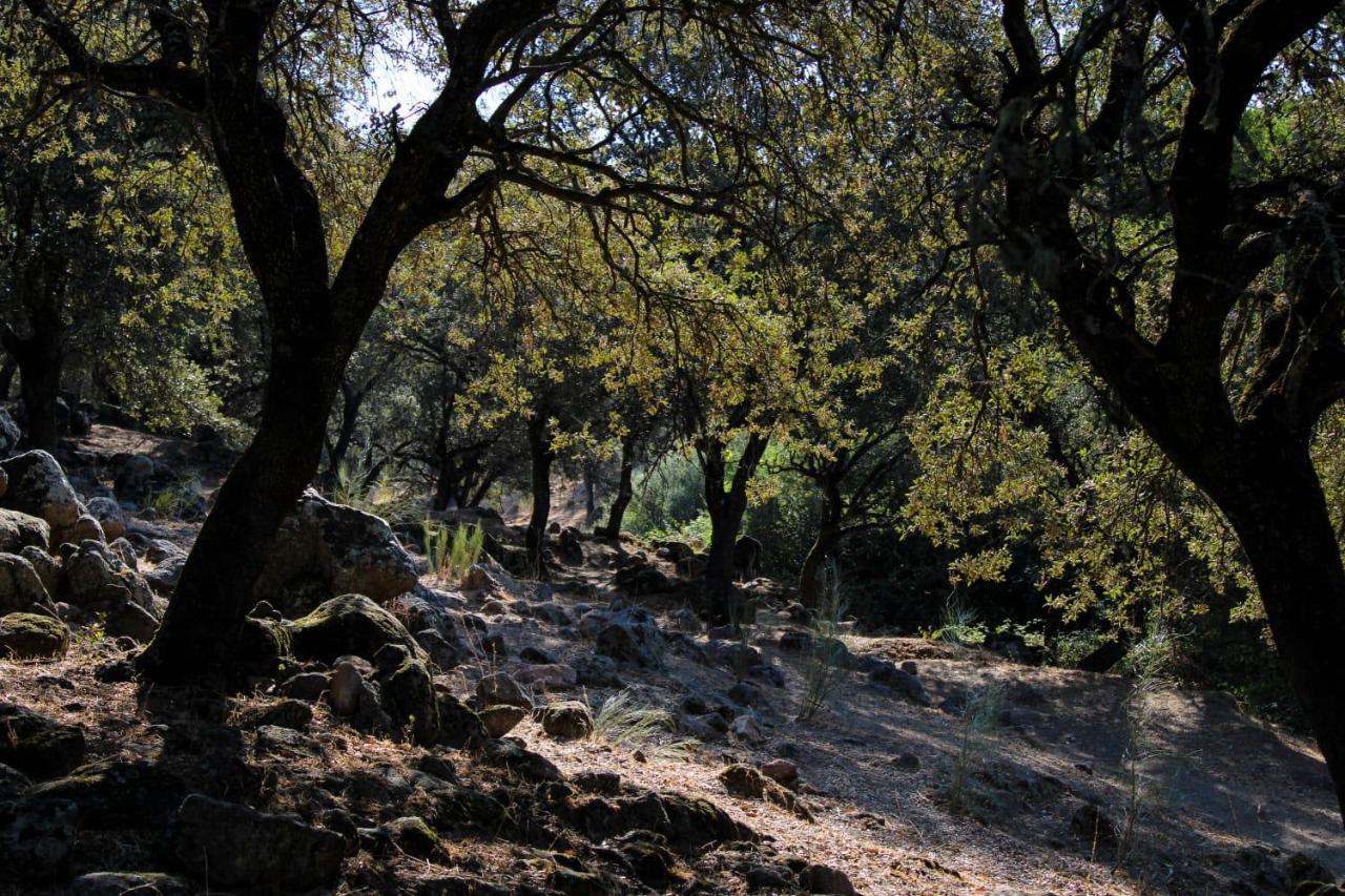 La Costanilla De Los Angeles Navalcan Eksteriør bilde